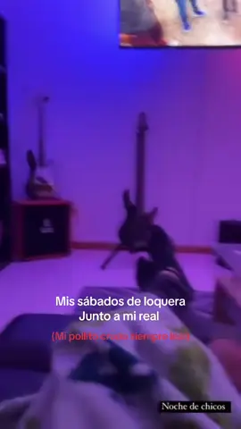 Cambiamos los sábados de loquera por sábados de pelis junto a mi pana 🤝🏻, mis respetos para el mero pollito crudo.  #sphynxcat #PetsOfTikTok #viral #gatos #viral 