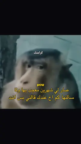 #الشعب_الصيني_ماله_حل😂😂 #ضحوكهههههههههههههههههههههههههههههههههههه #الشعب_الصيني_ماله_حل😂😂 