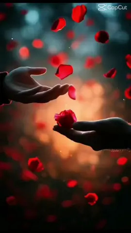 --- 🕊️ “Il suffit parfois d’un geste pour réveiller un souvenir…” 🌹 🎵 Les roses se souviennent… 🌹 Parfois, l’amour naît d’un simple frôlement, et s’éteint dans le silence de l’eau… Mais les roses, elles, gardent en leurs pétales la mémoire des âmes qui se sont effleurées. 🌊❤️ #Roses #Âme #AmourPerdu  #Mélancolie 