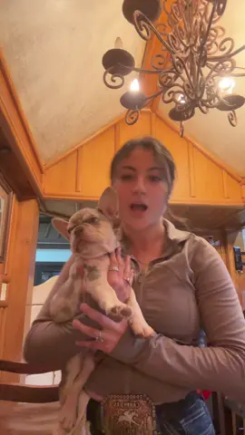 Stole him from the office 😊