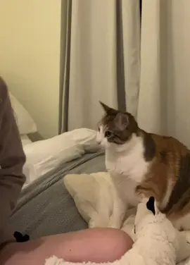 I really thought this would help