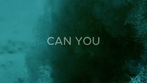 The white spotted pufferfish builds this structure and decorates it with seashells to find a mate🥹🫰…and yes, I made an edit of a fish to tøp….and what about it? #nature #twentyonepilots #tøp 