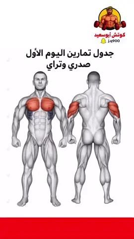 جدول تمارين اليوم الأول صدر وتراي #اكسبلور #كمال_اجسام #ترند #تمارين 