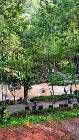 Chill suối ngày mưa, vẫn chill vẫn thơ mộng lắm…. 📍 Vườn Địa Đàng  #dalatreviewtravel #latnoitravel #vuondiadang 