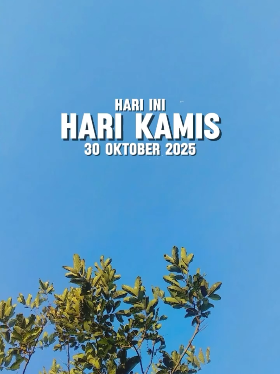 Hari kamis #CapCut #promomakanharian #capcutpioneer #pioneertemplate #fyp 