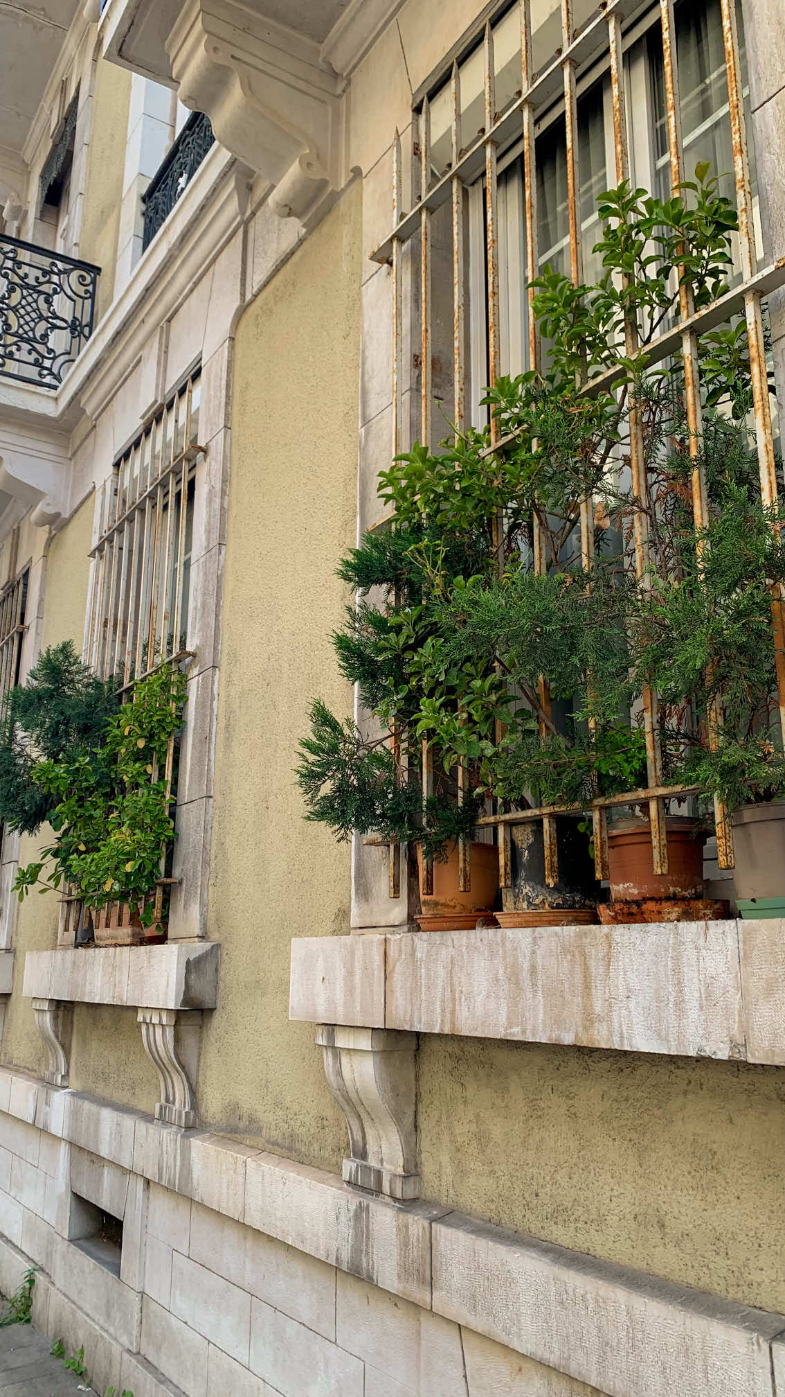 I really need a new pant… #fyp #viral #505 #outfit #targetaudience 