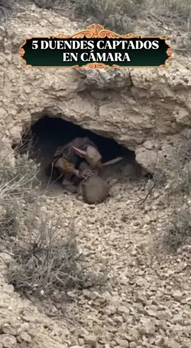 5 Duendes captados en cámara  Advertencia: Los siguientes videos han sido recopilados desde diversas fuentes. Su autenticidad no ha sido verificada: podría tratarse de registros reales, recreaciones digitales, efectos generados por computadoras o inteligencia artificial. #duendes #fyp #viral #criaturasextrañas 