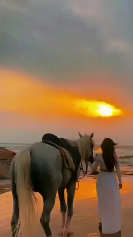 #صّبًـ(⛅)ـُ(آٍلَـٍـً(🌺)ـٍوٌرٍدًٍ)ـ(⛅)ـٍآٍآٍحًً #tiktok #followers➕ #ترند_الخيل #ذكريات_موجعة 