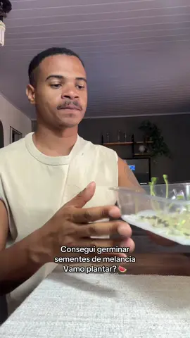 não vejo a horas das mudinhas crescerem 🥺 #melancia #hortaemcasa #fy#CapCut #muda 