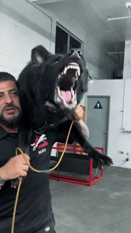 VIRUS ☠️ The Delta definition of a game changer 🚷