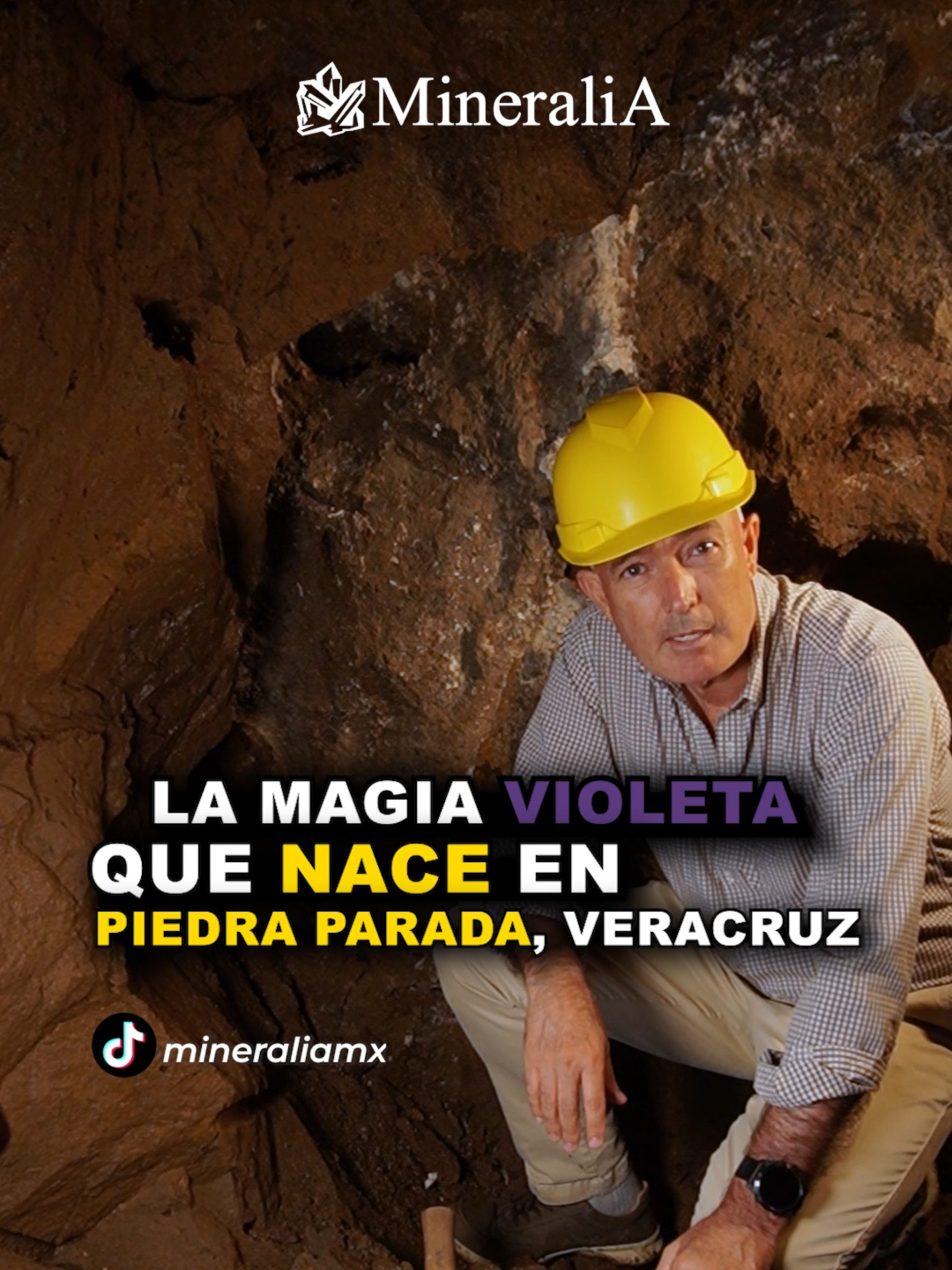 💜✨ Amatista de Veracruz: el tesoro violeta de las montañas mexicanas ✨  En el corazón de Veracruz, a más de 2,000 metros sobre el nivel del mar, se encuentra Piedra Parada, uno de los yacimientos de amatista más reconocidos del mundo. ⛰️  En este lugar, las antiguas erupciones volcánicas dieron origen a formaciones donde los fluidos magmáticos y las soluciones hidrotermales cubrieron las cavidades rocosas con cristales de cuarzo amatista de un tono violeta inconfundible. 💎  Así, las montañas de Veracruz guardan en su interior uno de los secretos geológicos más bellos de México: la amatista de calidad mundial, admirada por coleccionistas y amantes de los minerales en todo el planeta.  📍 Descubre más sobre nuestros minerales en https://mineralia.com  📲 Síguenos para explorar más historias fascinantes de la Tierra.  #Mineralia #AmatistaVeracruz #PiedraParada #MineralesDeMéxico #CristalesNaturales #Geología #Minerales #ColeccionismoMineral #ArteNatural #BellezaMineral