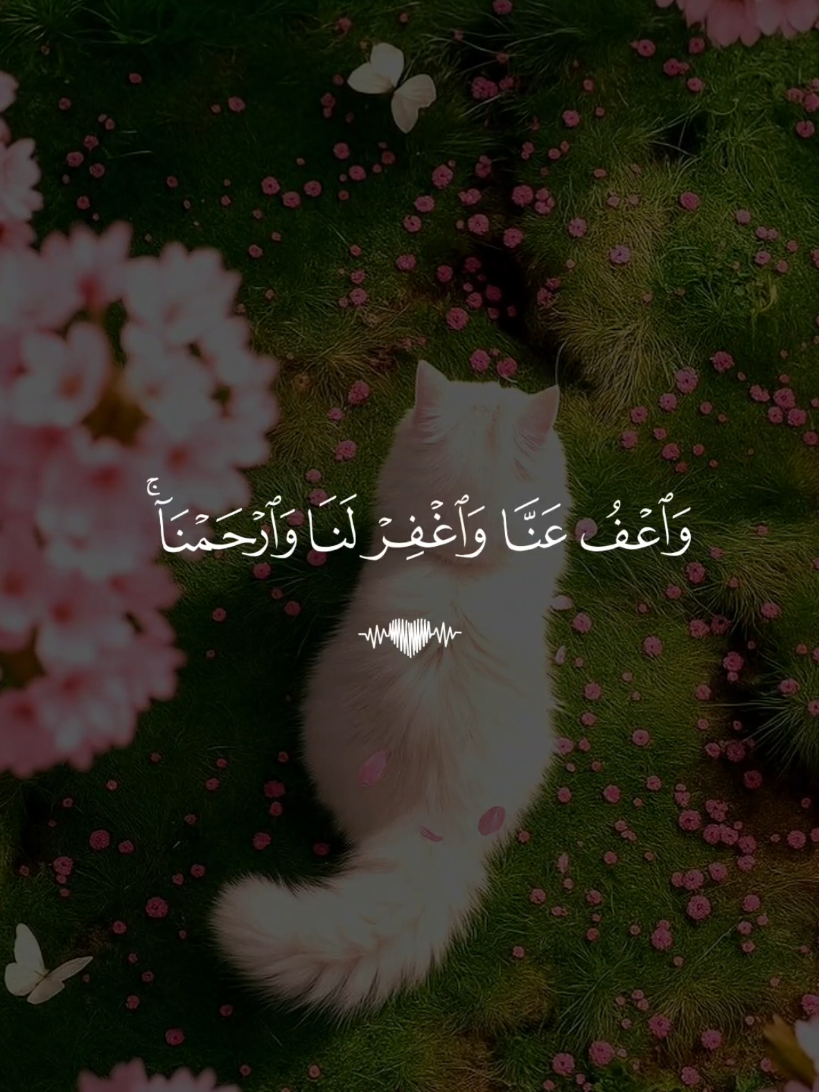 🕳️ تلاوة خاشعة بصوت القارئ سعد الغامدي سورة البقرة  #تلاوة_خاشعة #قران #quran #fyp #foruyou 