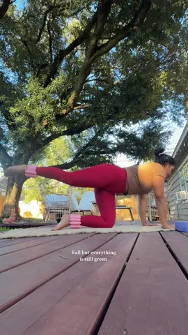 The best season is here but I’m glad everything is still green #fall #CapCut 