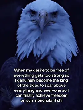 New arc soon #nature #giftok #mediatok #fyp #foryoupage 