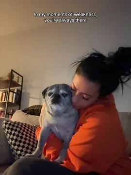 My best friend forever. #pugsoftiktok #pug #puglife #pugtok 