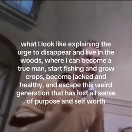 crashing out #bradpitt #society 