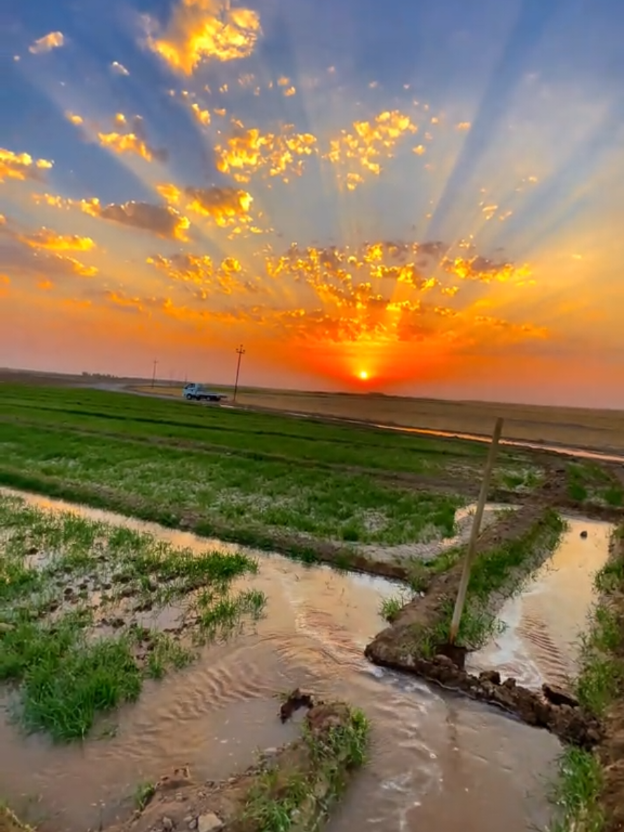 #سمير_صبيح❤️ #اكسبلورexplore #🖤🖤❤️❤️🖤🖤 #سمير_صبيح💔 