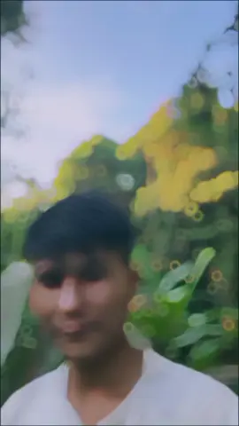 #CapCut #sorotan #lagudayakviral #pendalamankalimantan #branda #muculberanda #masukbrandamu #semuaorangツ #pypviral #pypypypypypypypypypypypypyp 