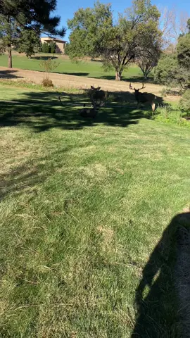 ion think I was in any danger 