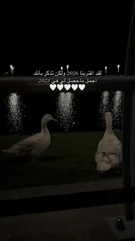 حبيب قلبي🩶💍. #اكسبلورexplore #لايك__explore___ #حب #2026#الشعب_الصيني_ماله_حل😂😂 