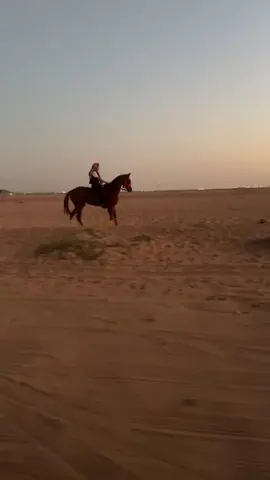 البطله🔥🔥⏳#اكسبلور#ميدان عفيف#غاره🛫#العطاوي#القساسمه 