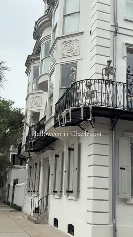 made this on my study break #charleston #halloween 