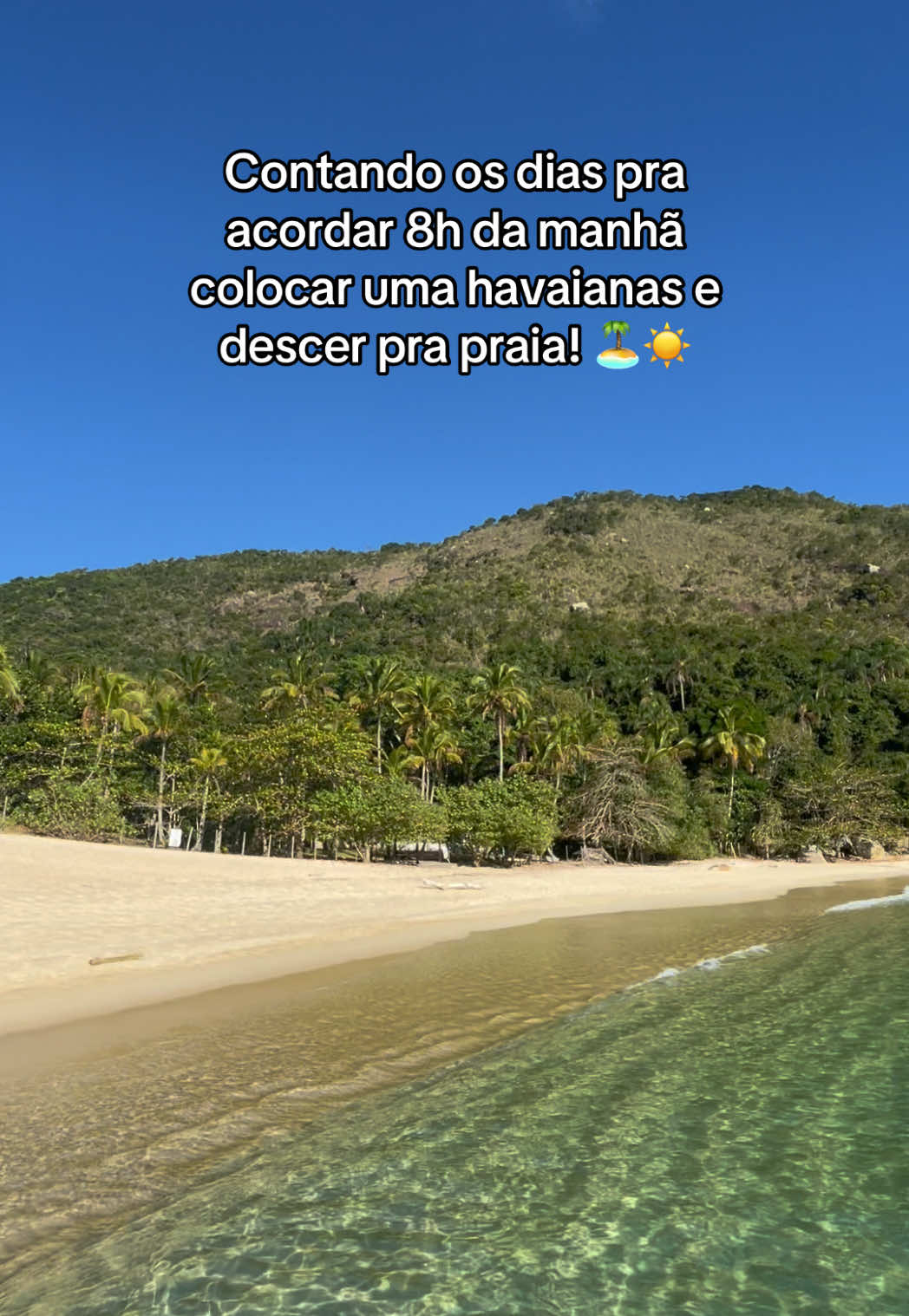 Contando os dias pra acordar 8h da manhã colocar uma havaianas e descer pra praia! 🏝️☀️