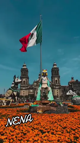 QUE HERMOSO#🥰🥰🥰🥰🥰🥰🥰🥰🥰🥰🥰🥰🥰🥰 