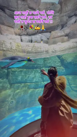 आज गार्हो छ चल्नै पर्छ, भोलि झन गार्हो हुन्छ सहनै पर्छ, तर पर्सी त सुन्दर छ पर्खनै पर्छ !!@Baabu Believer ✍️🌹🌺🥀💐🙏🎶😘#trendingviralvideo🌹♥️❣️💞 #tiktoknepal🇳🇵 #trulines💯 #fupシ゚viral #capilikplz🙏 #follow #fyp #goviral #viral #surkhetmuser🇳🇵foryoupage🥰💘💘💕💕 #CapCut 