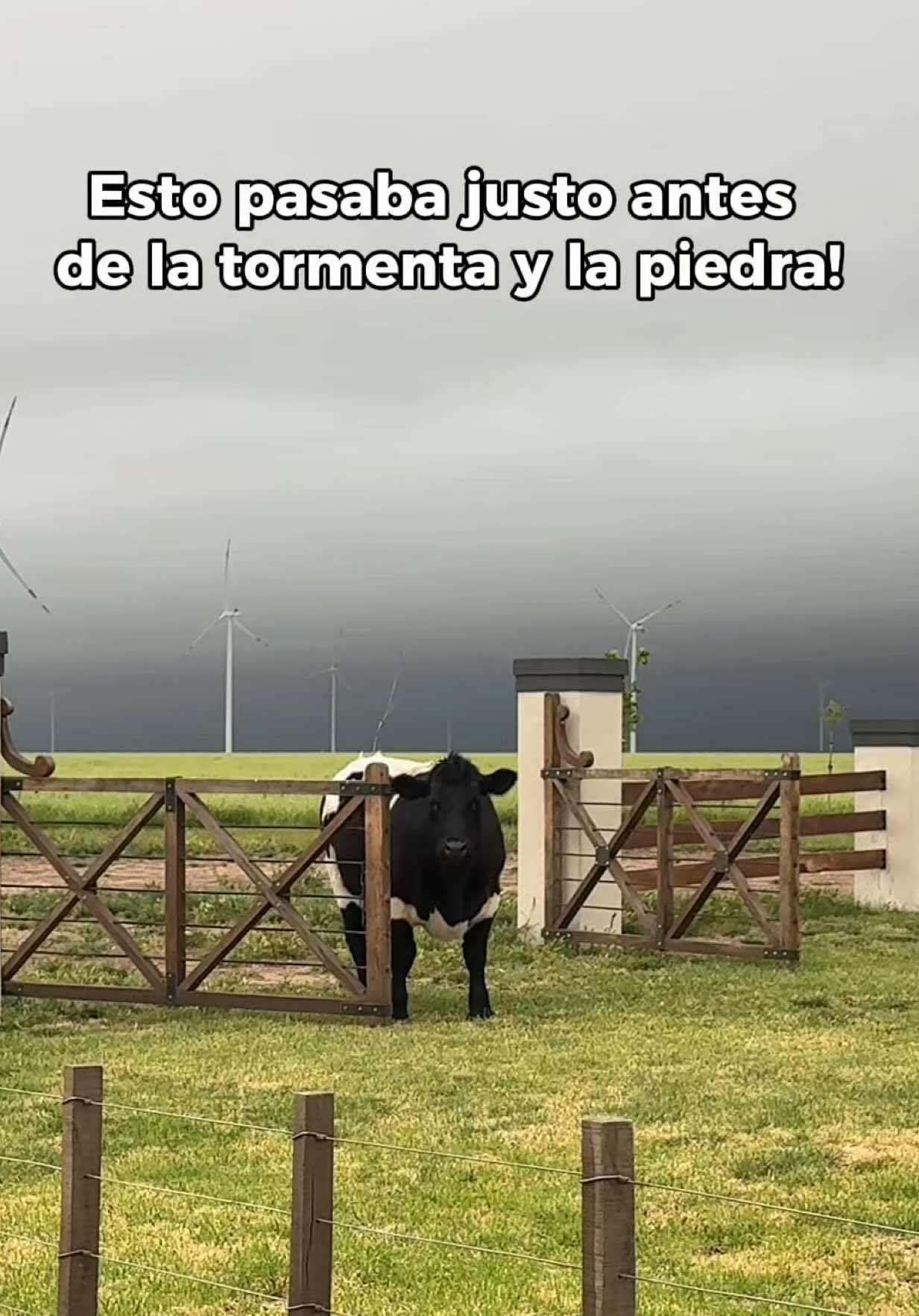 Justo antes de la Tormenta! Mañana capítulo final!!!! Se salvarán?⚡️🌪️⛈️