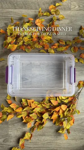 Every year, our family puts together Thanksgiving dinner boxes for those who might not be able to afford their own meal. It’s a small way for us to give back and to remind our kids what it means to be the hands and feet of Jesus. To love others the way He loves us. 🤍 Each box is packed with a full holiday meal, a Jesus Loves You bracelet, and a salvation card because the greatest gift we can share isn’t food… it’s hope. You can drop these at any local food pantry! Everything linked in my bio! #thanksgivingdinner #thoseinneed #givingback #givingbacktothecommunity #jesuslovesyou  