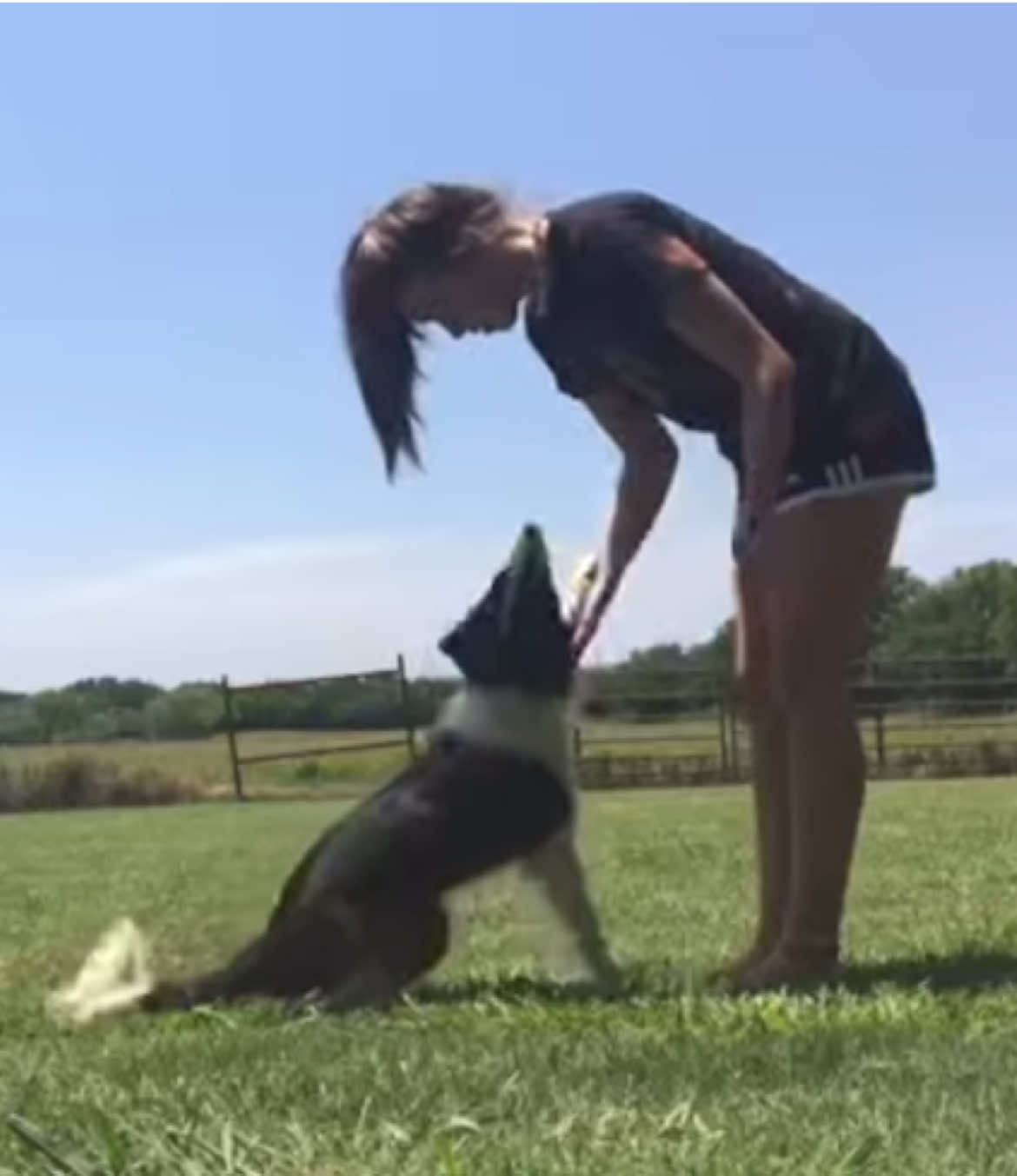 I cannot fathom how it has almost been a year since we lost her. My first love. 