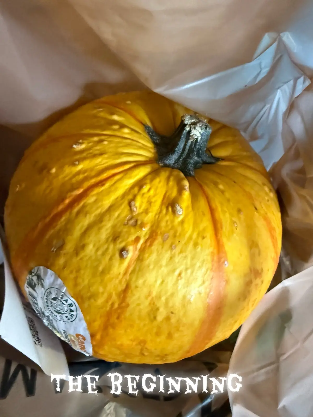 #fyp #pumpkin #halloween #project #spongebob 