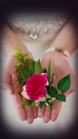 تاك لشخص تحبه#viral #fyp 