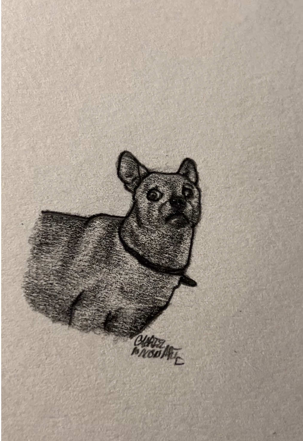 “Hold me back” ah dog     Credit- animalia.show/IG     #fyp #art #dog #linkinpark #foryouuuuuuuuuuuuu 