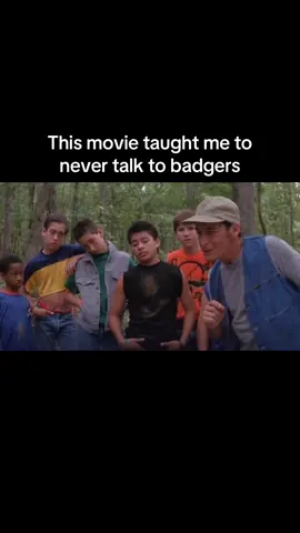 Never Talk To Badgers
