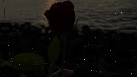 وبعتب على كده المحبه 💗🫶🏻#محمد_الاسمر_غزال_الصعيد❤🌸 #اعادة_النشر🔃 #تصميم_فيديوهات🎶🎤🎬 #مصطفى_القناوي #لايك_متابعه_حركة_الاكسبلور❤🦋explorer 