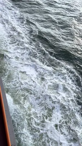 #LIVEIncentiveProgram #LIVEStory #PaidPartnership 