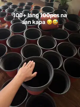 #flowerpot #flowerpots #pots #makeitviral 