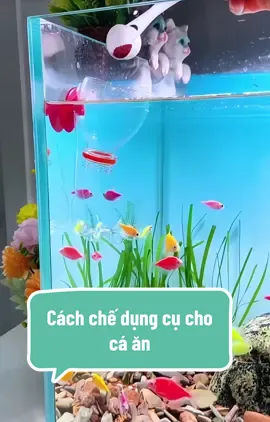 Cách chế dụng cụ cho cá ăn cực kì đơn giản ! #cacanhthuysinhtmb #dungcuchocaan #chocaan #caan #xuhuong 