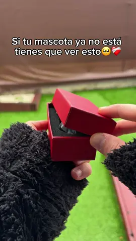 Personaliza tu recuerdo en un llavero✨🔮❤️‍🩹#personalizado #regalos #recuerdos #mascotas 