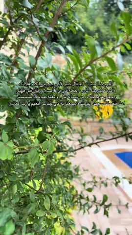 #صدقة_جارية #دعاء_للميت #اللهم_ارحم_ابي #ادعوا_لأبي #فقيدي #فقد_الأب #إنا_لله_وإنا_إليه_راجعون 