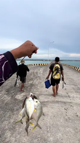 hasil mancing hari ini lumayan banyak taddan##teloer##okecoy#@@TLURE Oke Coyy