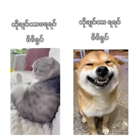 #ဟုတ်တယ်မလား #foryou #on4fou #foryou #on4fou #crdပေးပါတယ်ရှင်😾💕 #foryou #on4fou #foryou #on4fou 