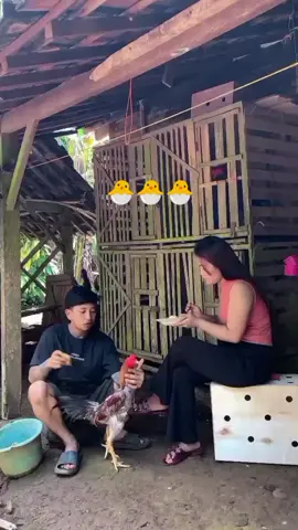 bahagia itu sederhana saja asal saling mengerti saling melengkapi #bangkok #bangkok #mangon #ayambangkoksuper #pama 