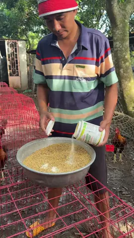 Men sống cao cấp Hộp 500gr #mensongcaocap #cachnuoiga #mentieuhoachoga #xuhuong #yeuthuongdongvat 