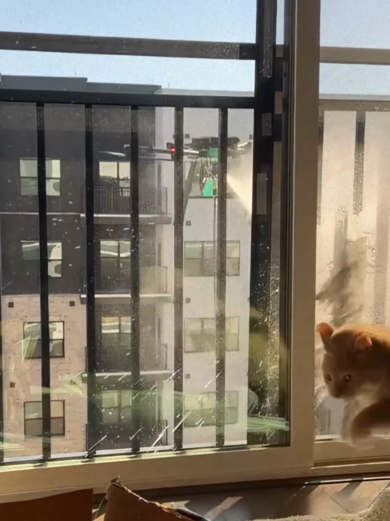 Window Cleaning Drone Scares Cat 💦 A nervous cat watching through an eighth-floor window gets startled when an automated window cleaning drone suddenly appears and sprays foam, leading to a hilarious jump and escape from what the owner initially thought was vandalism.