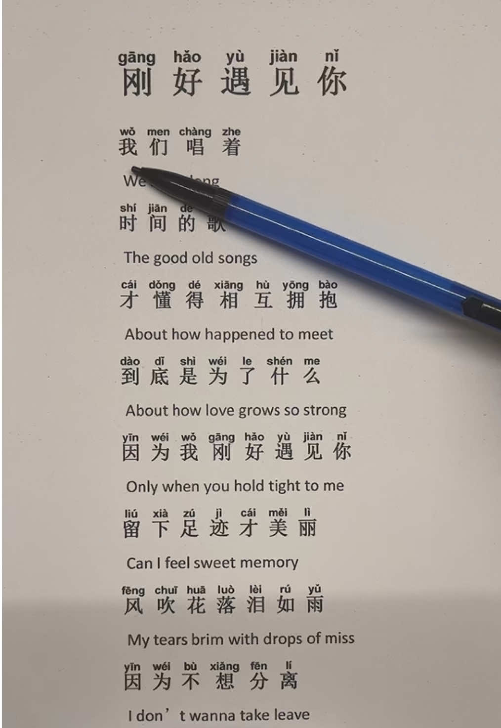 Chinese viral song: gang hao yu jian ni #LanguageLearning #chinese #Mandarin #trendingmusic#fpy 