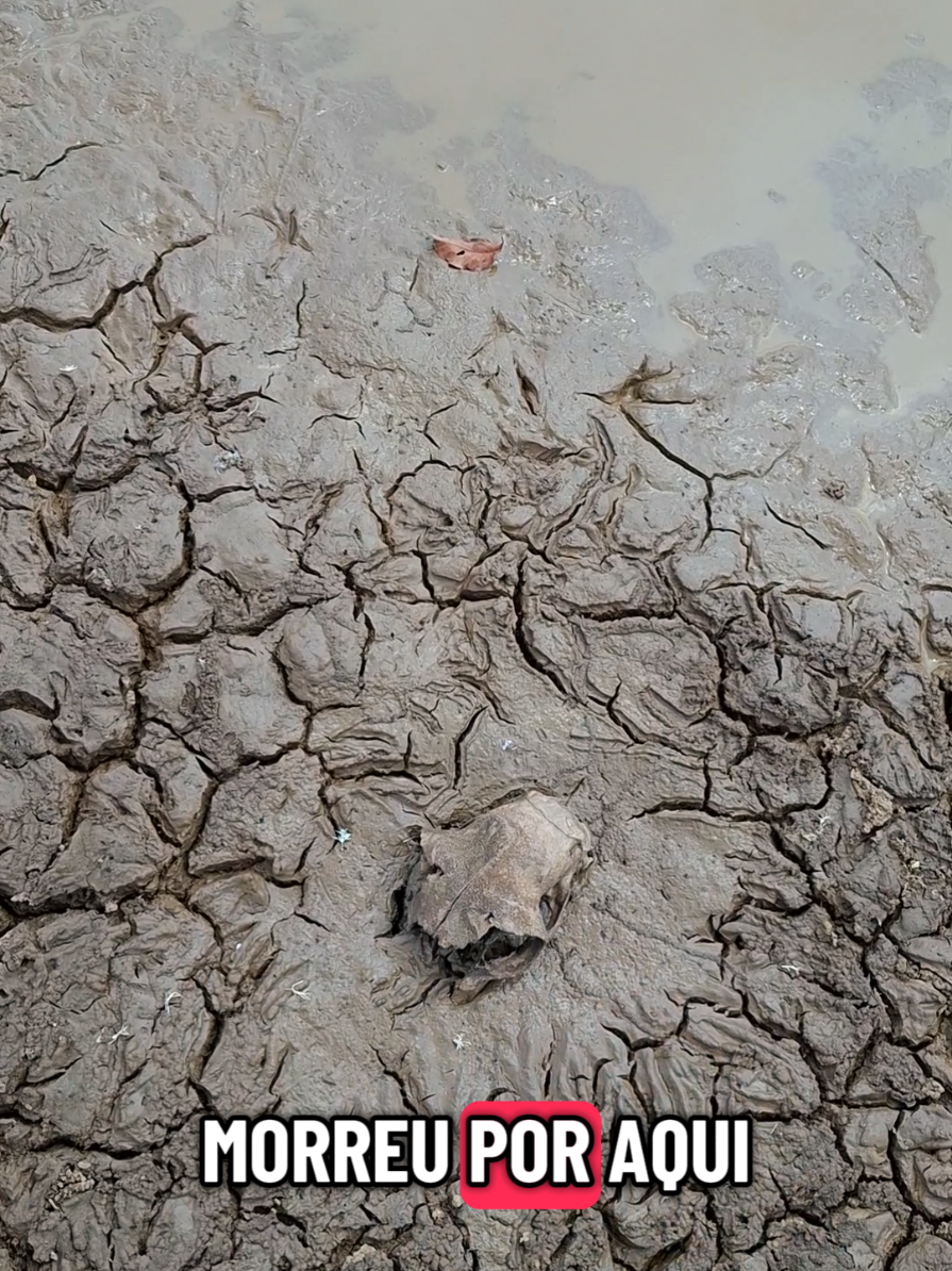 SERTÃO SECO #sertao 