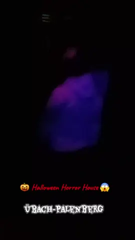 😱😱 Experiență asta aș repeta-o cât aș mai trăi ⌛️ #übachpalenberg #scary #fyp #viral #halloween  @HalloweenHorrorHouse-Original 
